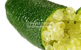 australian-finger-lime-Green-Sapphire-23-40
