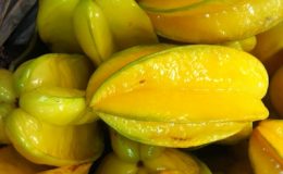 Averrhoa-carambola-30