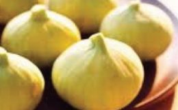 Fícus-cárica-cv-Alma-35-некрупные-янтарные-плоды-деликатный-сладкий-вкус-сорт-устойчив-к-фруктовым-гнилям