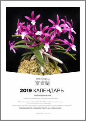 calendar page 1