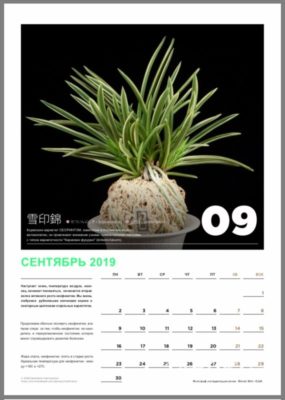 calendar page 10