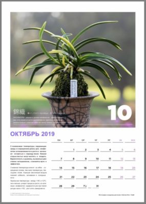 calendar page 11