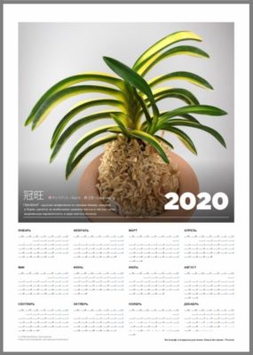 calendar page 14