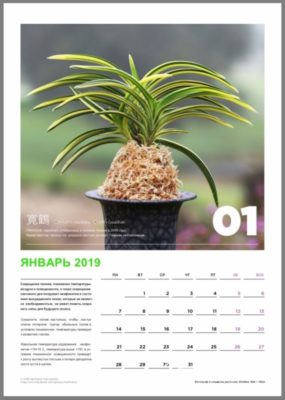 calendar page 2