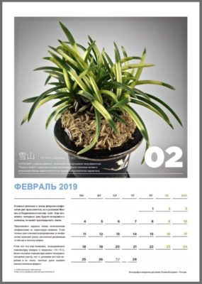 calendar page 3