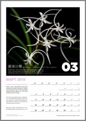 calendar page 4
