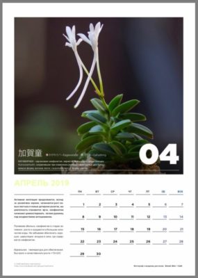 calendar page 5