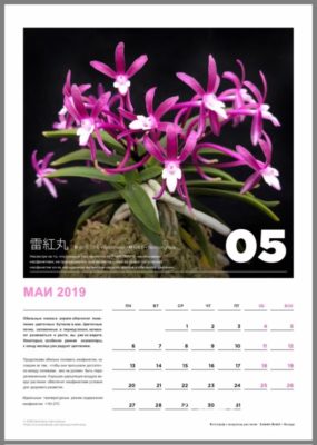calendar page 6