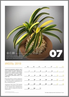 calendar page 8