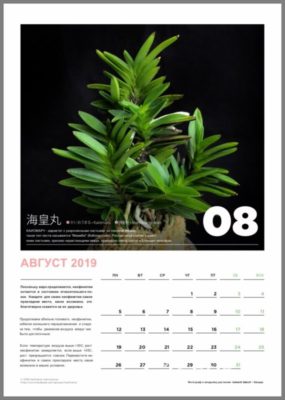 calendar page 9